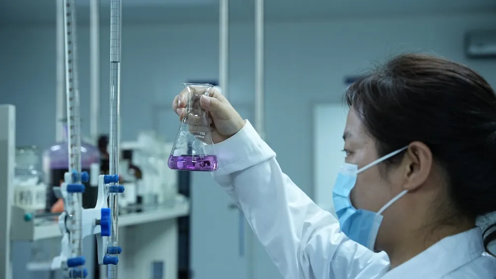 Xinle Team & R&D Professionals